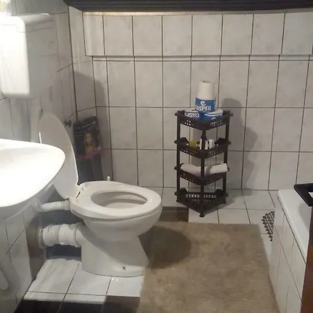 Фермерский дом Airport Radinovic *