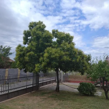 Фермерский дом Airport Radinovic