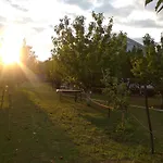 Airport Radinovic פודגוריצה