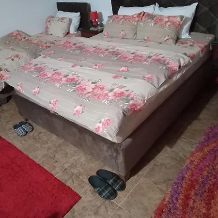 Farm stay Airport Radinovic *