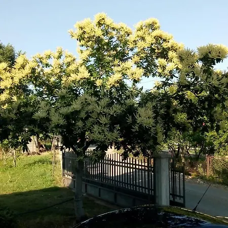 בית חווה Airport Radinovic