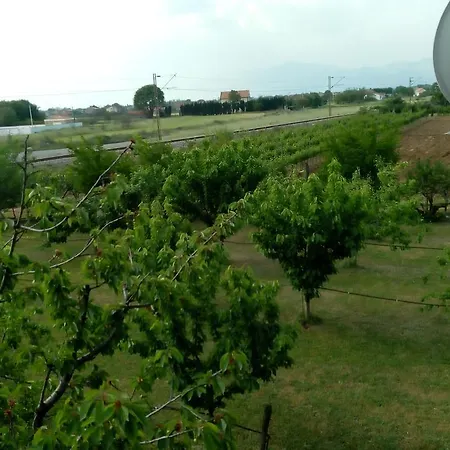 Airport Radinovic * פודגוריצה
