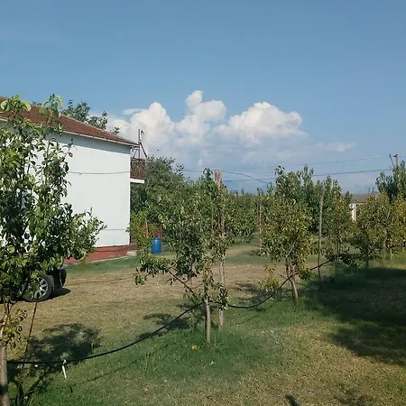Airport Radinovic בית חווה *