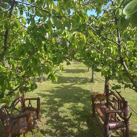 Farm stay Airport Radinovic