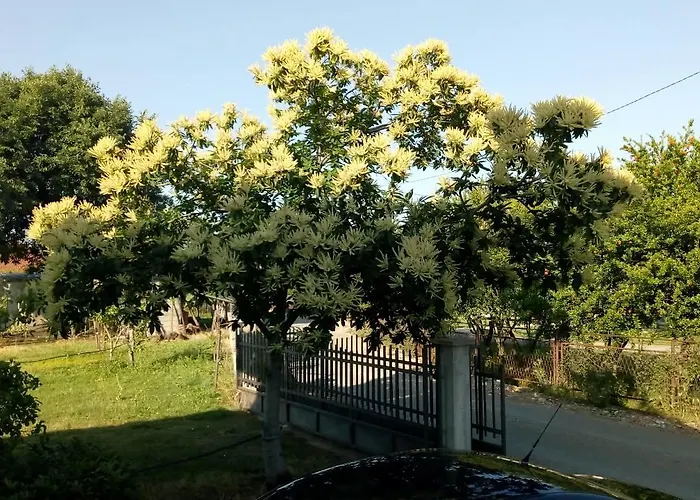 Agroturismo Airport Radinovic