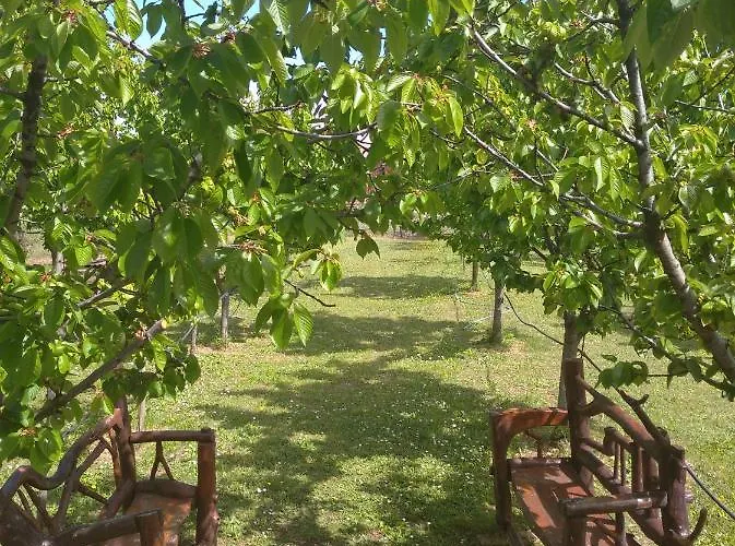 Agroturismo Airport Radinovic